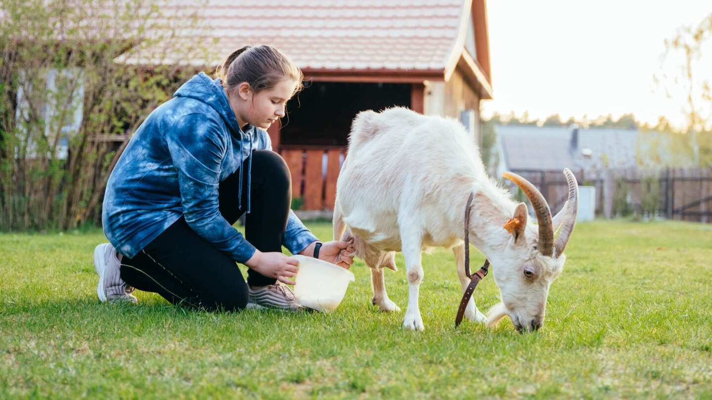 e051d2d9e09b749b67a976d36c28c4d55e6f3ae6