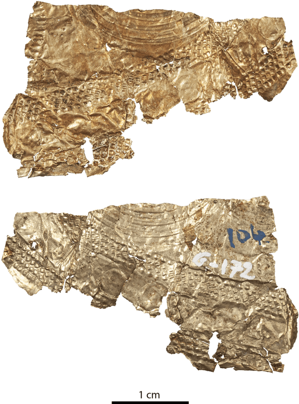 e214625c9fa8fdc7c40fe17e3ed897b1c919d958