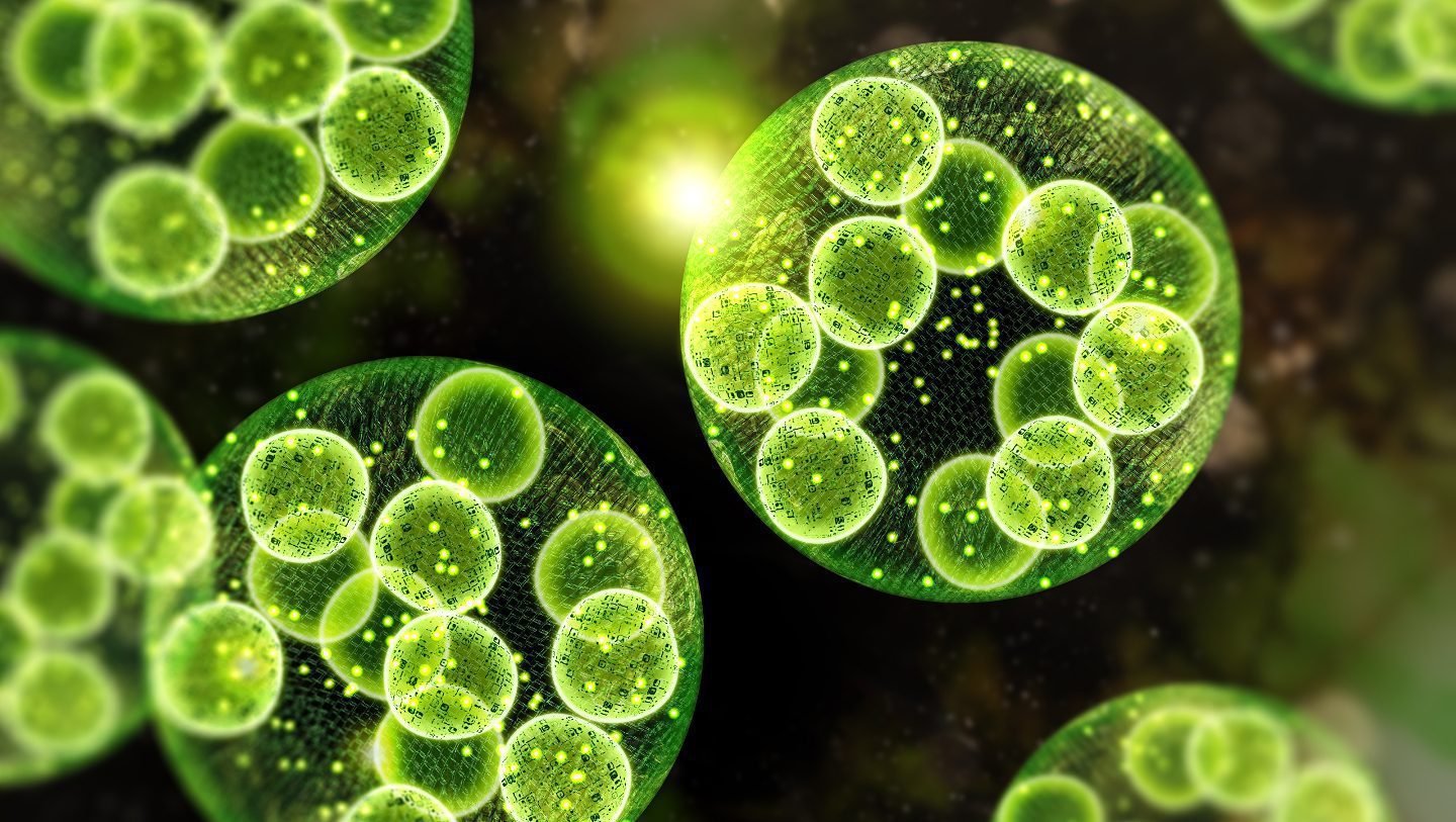 e8ff5ed34f1157cac83cc4c5acf17eadcbb80eef