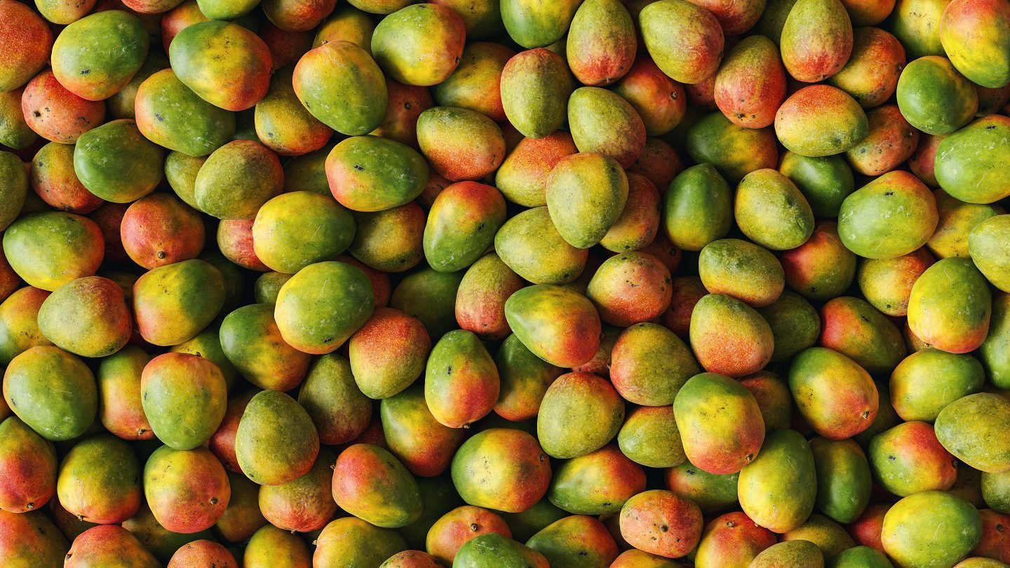 ثمار المستقبل كيف تغير التكنولوجيا الحيوية البساتين ومزارع التوت 1 ef49e54b324613ede1f935ab32ccdf1618dd3f65