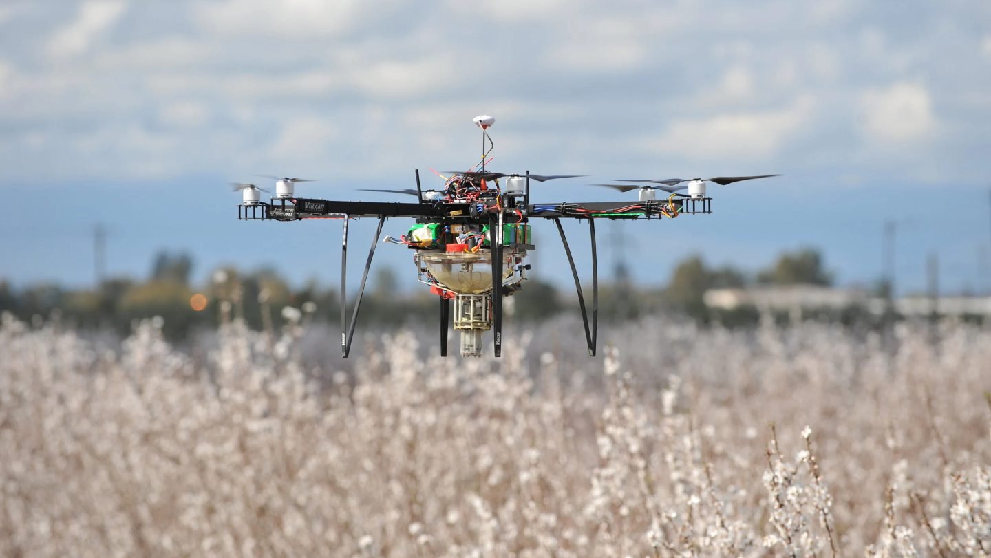 ثمار المستقبل كيف تغير التكنولوجيا الحيوية البساتين ومزارع التوت 3 f1afad6b2ce9b27a45a0c7178397d160c7a80de4