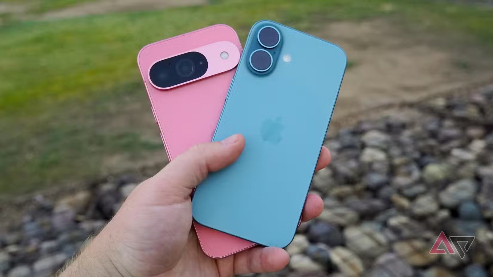 pixel 9 vs iphone 16 6