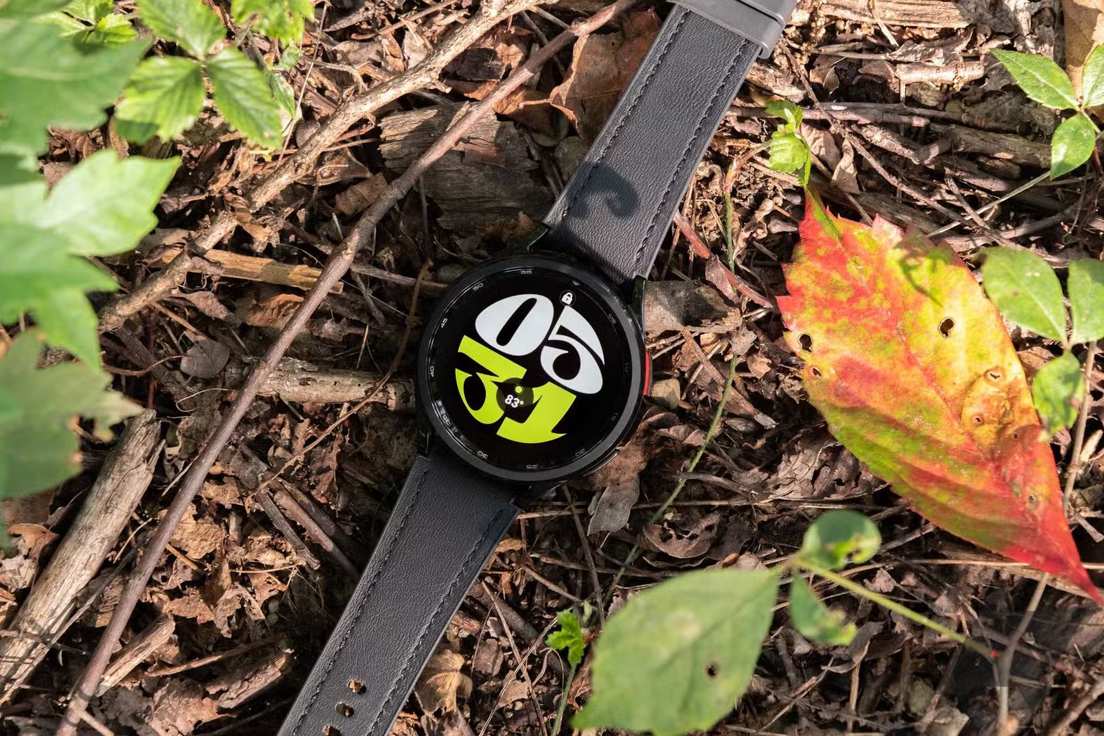 samsung galaxy watch 6 classic face 4