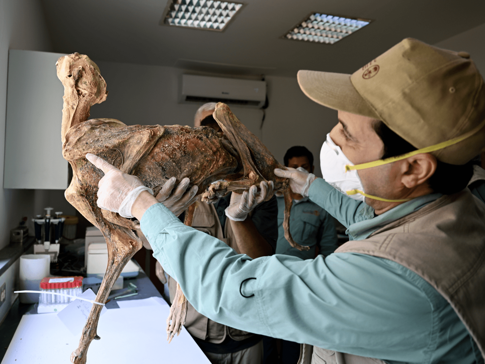 wZVTctiafQtQt4kGgrF62W scaled