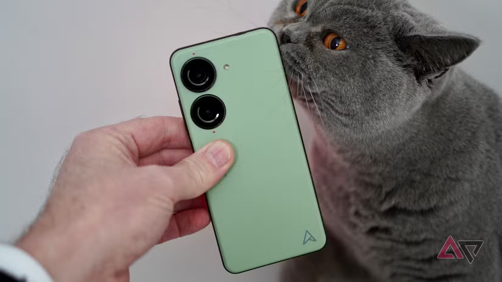 zenfone 10 cat