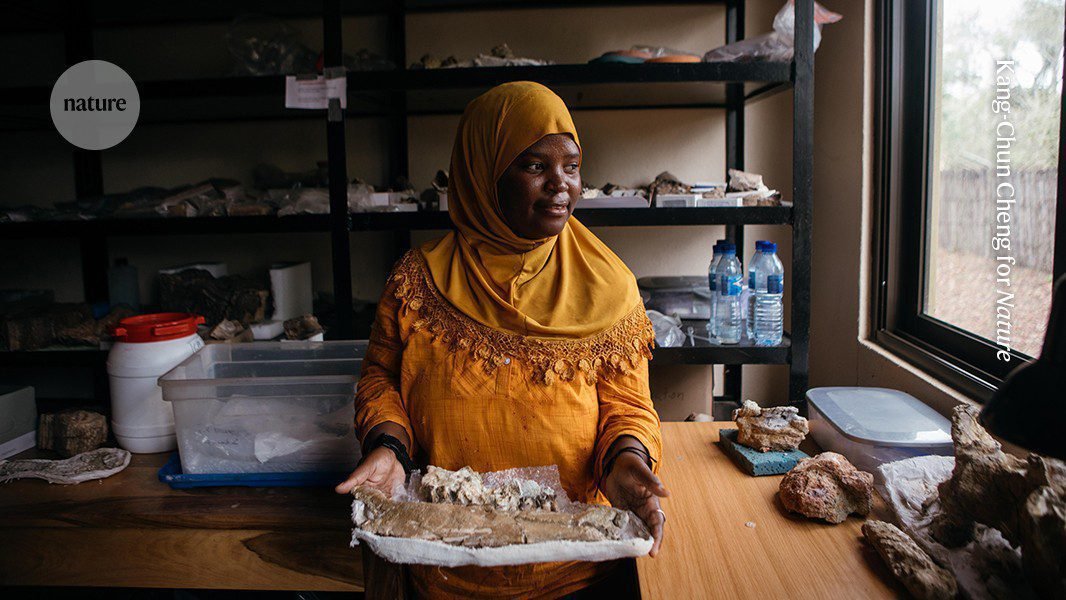 أرى قرد البابون في موزمبيق بمثابة نوافذ على تطور البشر