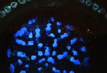 "أشباح" الطاقة السلبية التي تومض في الفضاء قد تكشف عن فيزياء جديدة: ScienceAlert