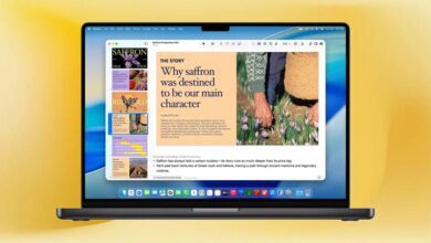 أصبحت Pages وNumbers وKeynote وFreeform تطبيقات مجانية