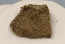 a chunk of hair-covered animal flesh sits on a white plastic pedestal