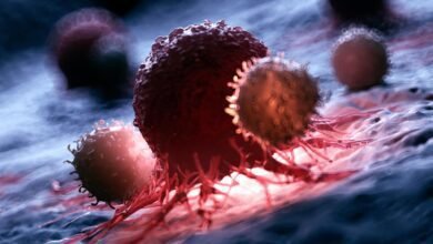 اكتشف الباحثون طريقة جديدة لإيقاظ الخلايا التائية القاتلة للسرطان
