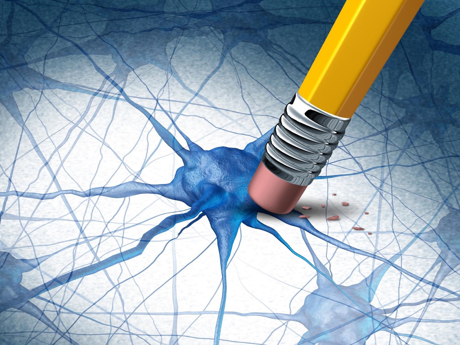 اكتشف العلماء جزيء طول العمر الطبيعي الذي يستعيد الذاكرة في نماذج مرض الزهايمر