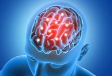 Neuroscience Brain Signals Concept