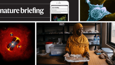 الإحاطة اليومية الحيوانات التي ليس لها أدمغة تنام أيضًا مما يشير إلى سبب نومنا على الإطلاق