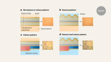 الجلد الاصطناعي يحاكي فن التنكر الذي يمارسه الأخطبوط