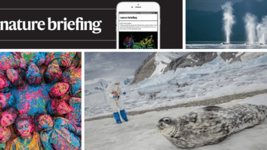 الخلايا البشرية في أجسامنا ليست لنا وراثيا