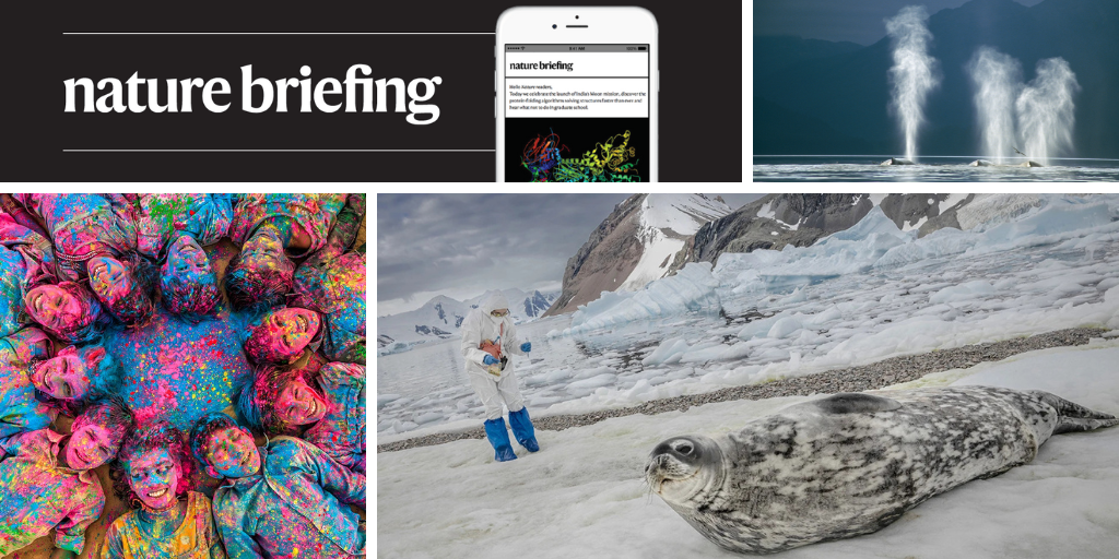 الخلايا البشرية في أجسامنا ليست لنا وراثيا