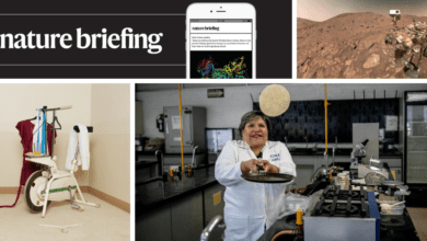 الدائرة العصبية التي يمكن أن تجعل من الصعب البدء بمهمة صعبة