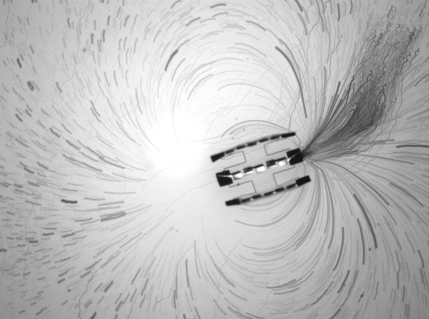 الروبوتات المجهرية التي تسبح تفكر وتتصرف بمفردها