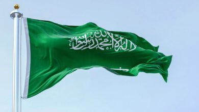 السعودية تستجيب لطلب العليمي عقد مؤتمر شامل في الرياض لبحث الحلول لقضية جنوب اليمن