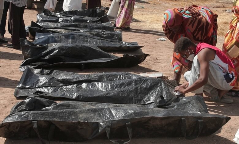 السودان.. مسيرة للدعم السريع تقتل 10 مدنيين وتصيب 9 آخرين في مدينة سنجة