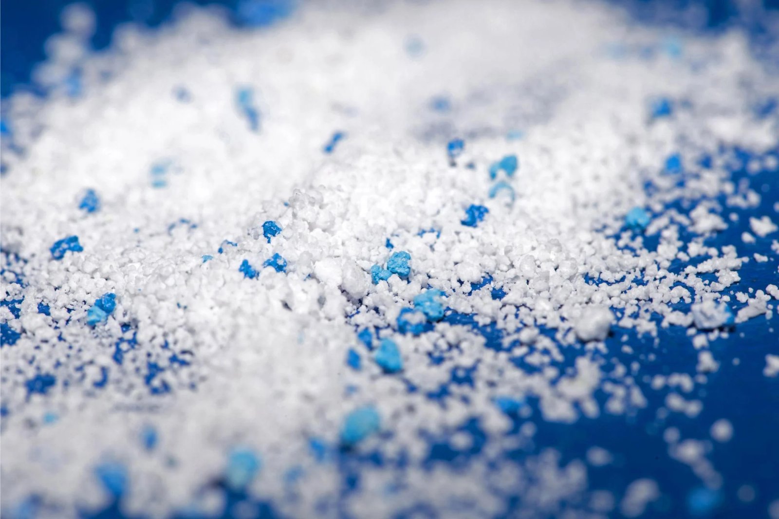 العثور على مواد بلاستيكية دقيقة داخل الحشرة الوحيدة في القارة