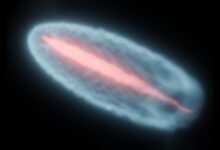 Plasma Beam Simulation