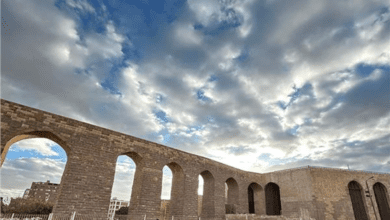بيان مصري حاسم بعد مثيرة للجدل