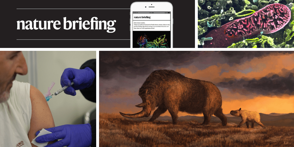 تبقى الخلايا السرطانية مخفية باستخدام الميتوكوندريا المسروقة تبقى الخلايا السرطانية مخفية باستخدام الميتوكوندريا المسروقة