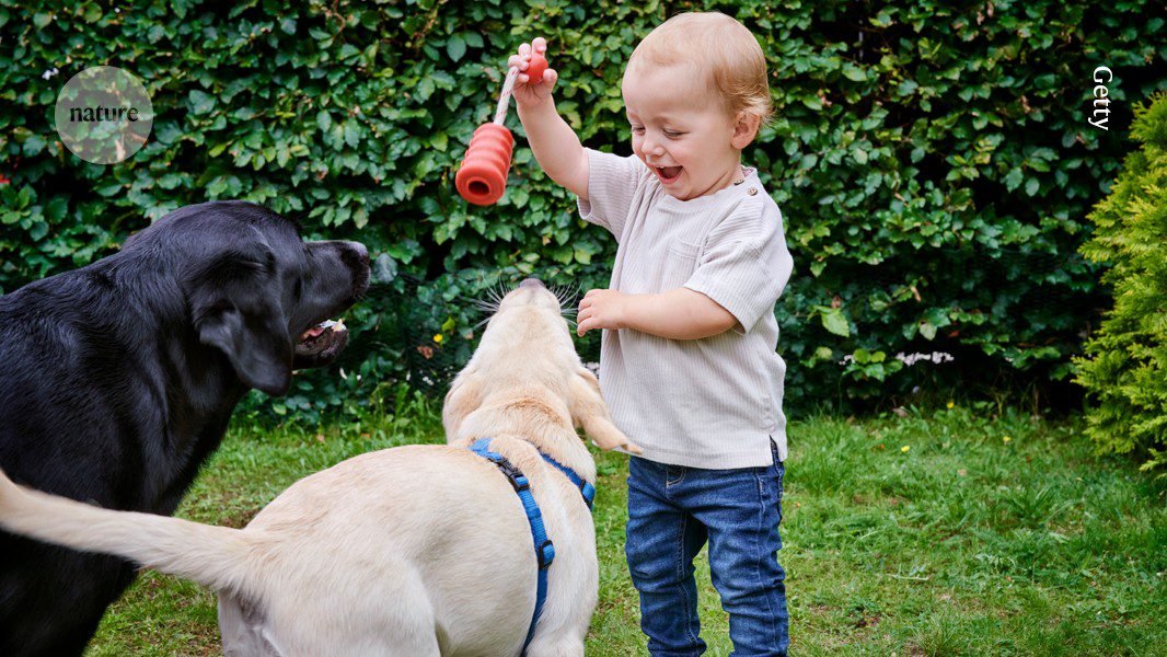 تتعلم الكلاب الموهوبة كلمات جديدة من خلال الاستماع إلى البشر