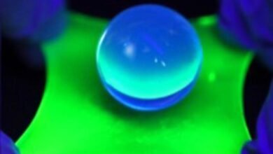 تظل شاشة OLED المرنة هذه ساطعة حتى عند تمديدها