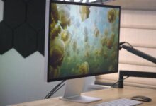 تظهر شاشة Apple الخارجية الجديدة في الملفات التنظيمية
