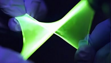 تم إنشاء شاشة OLED قابلة للتمدد العلوم الأخبار وال