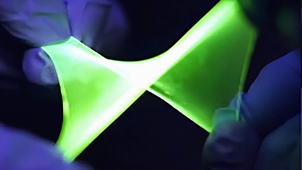 تم إنشاء شاشة OLED قابلة للتمدد العلوم الأخبار وال