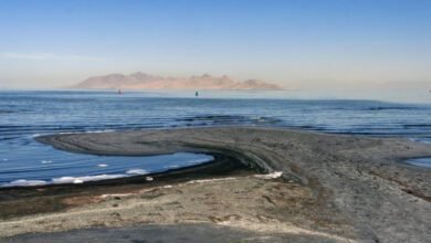 تم العثور على نوع غير معروف في البحيرة المالحة الكبرى الأمر الذي حير علماء الأحياء