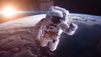 دماغ رواد الفضاء يتغير في المدار.. ماذا يحدث بعد سنة؟