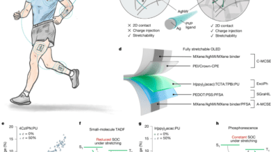 شاشات OLED عالية الكفاءة وقابلة للتمدد بالكامل ومزودة بتقنية Exciplex