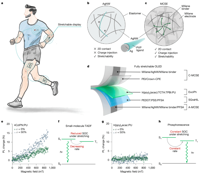 شاشات OLED عالية الكفاءة وقابلة للتمدد بالكامل ومزودة بتقنية Exciplex
