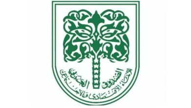 صندوق بادر لتنمية المشروعات الصغيرة والمتوسطة يستثمر في دعم التحول الرقمي في العالم العربي