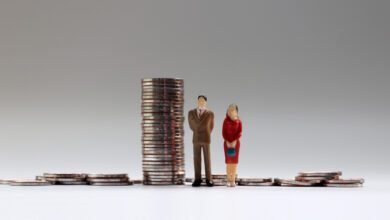 قام العلماء بتقييم ت الدخل لدى الزوجين حيث يعمل كلا الشريكين