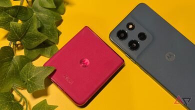 كان من المفترض أن يكون هذا هو عام التفوق لموتورولا. بدلا من ذلك، أنا قلق