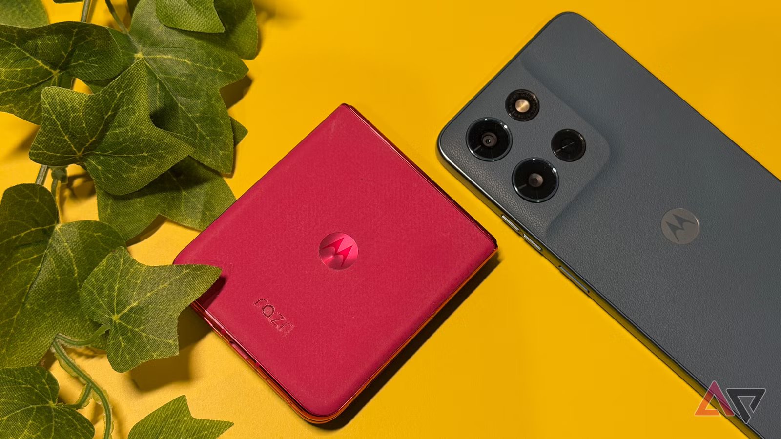 كان من المفترض أن يكون هذا هو عام التفوق لموتورولا. بدلا من ذلك، أنا قلق