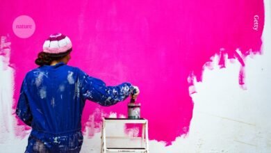 كيف تزدهر عندما تترك الأوساط الأكاديمية