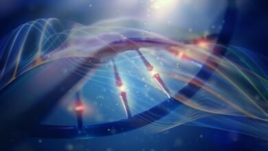 لقد اكتشف العلماء قاعدة عالمية تقيد التطور