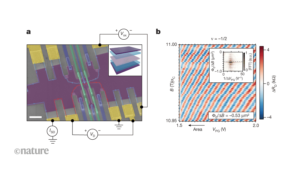لمحات من أشباه الجسيمات الغريبة في الجرافين