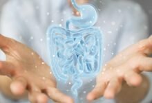 Doctor Holographic Human Gut