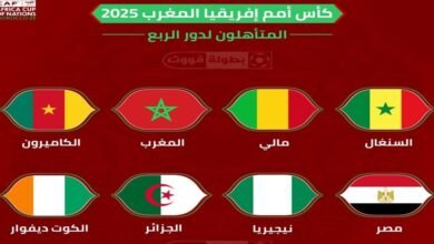 من سيصل للنهائي؟.. 3 منتخبات عربية في ربع نهائي أمم أفريقيا