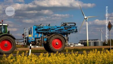 نزع احجار عالمنا الكيميائي