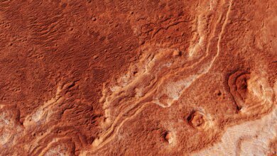 هل يمكن للحياة أن تستمر على المريخ؟ تقدم الخميرة إجابة مفاجئة