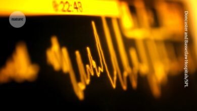 وضع الخلايا المناعية في الوضع الليلي يقلل من أضرار النوبات القلبية