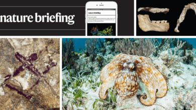 يتغير مظهر الجلد الاصطناعي المستوحى من الأخطبوط عند الطلب